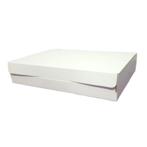 PACKING CAJA BLANCA S/VISOR 26x18x5cm COD402